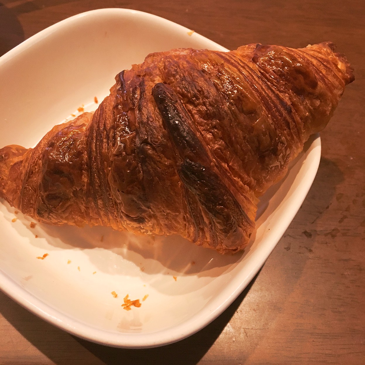 【限定500部 特装版】 小林大吾 / 小数点花手鑑 + パン屋の1ダース 飲めるドーナツにザクザク湯種スコーン！パン好き俳優・小林涼子さんと