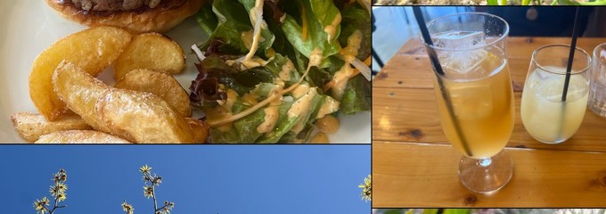 craft burger & dining THE ROOTS