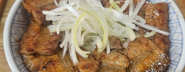 元祖豚丼屋 TONTON 広島宝町店