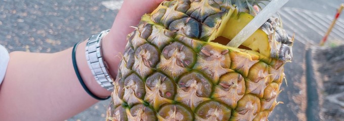 Aloha Stadium Swap Meet