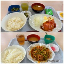jun617motoiさんの写真