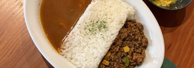 葉もれ日