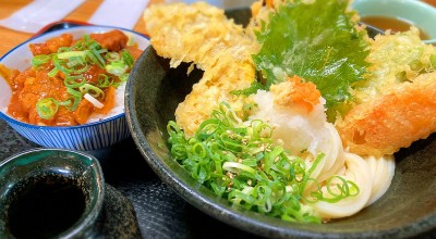 ふたみうどん研究所 日南 宮崎県南部 餅原 うどん