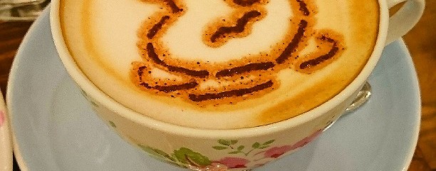 キャス キッドソン テラスモール湘南店