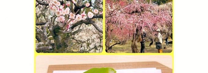 和菓子処 とらや 京町店