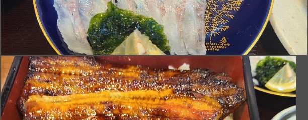 鰻の刺身 うな屋