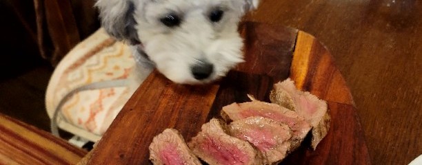 TRATTORIA　葡萄房　by THE CAMEL