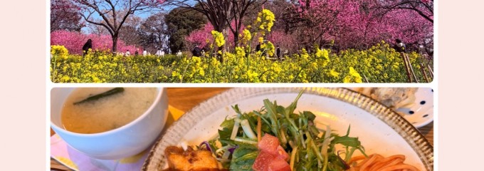 いたりあ食堂　灯り家