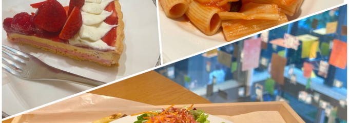 スターバックスコーヒー 銀座マロニエ通り店
