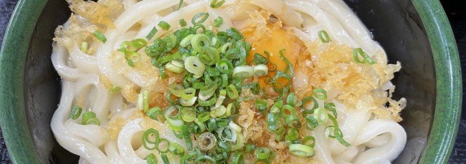 さか枝うどん 南新町店