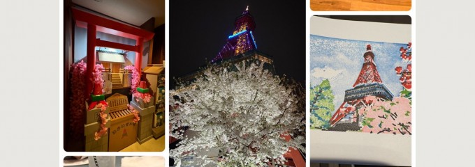グランド居酒屋 富士 すすきの店