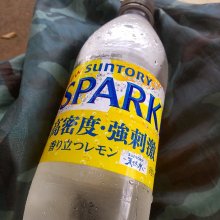 f_souさんの写真