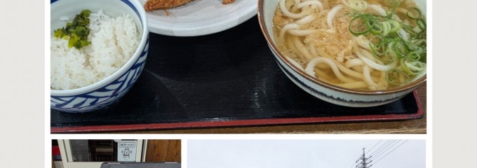 セルフうどんかめや