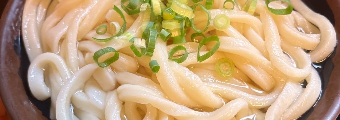 手打十段 うどんバカ一代