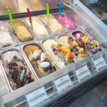 Doraranさんの写真