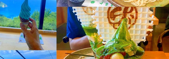 中道源蔵茶舗