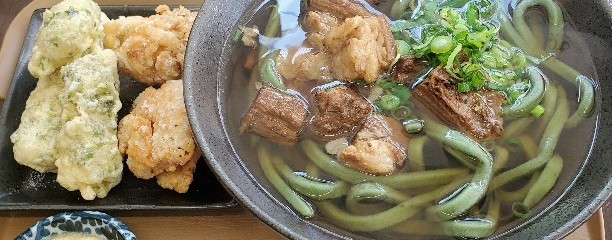 よもぎ肉うどん 翔屋