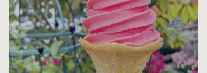 あしかがフラワーパーク