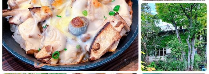 くるみの木 一条店