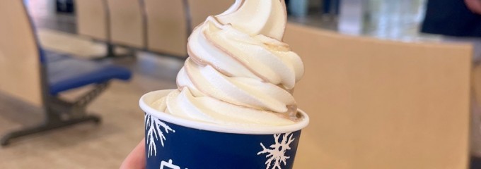 釧路空港(たんちょう釧路空港)