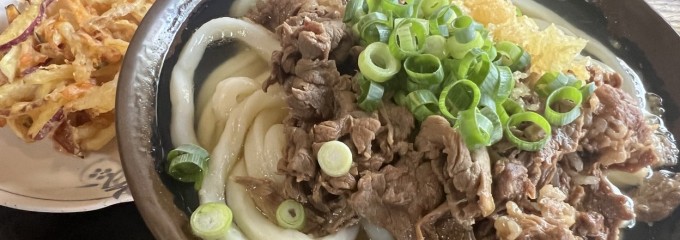 手打十段 うどんバカ一代