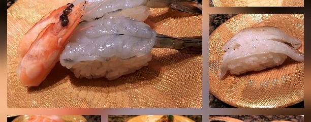 魚さばき 回転寿司 大まる 柏豊四季店