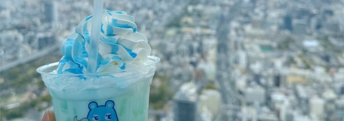 スカイガーデン 300