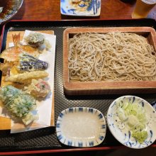 dongabacho1さんの写真