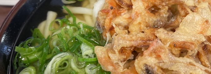 立花うどん