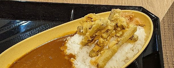 博多カレー研究所 博多とんこつあごだしカレー