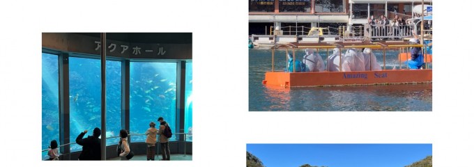 下田海中水族館 レストラン シーパーク