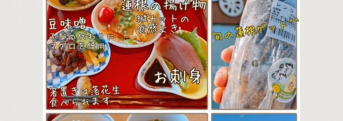 蓮根の里　はすの実