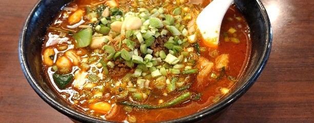 龍華飯店 溝の口店