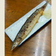 ShintaroUemuraさんの写真