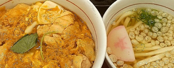 なか卯　32号高知葛島店