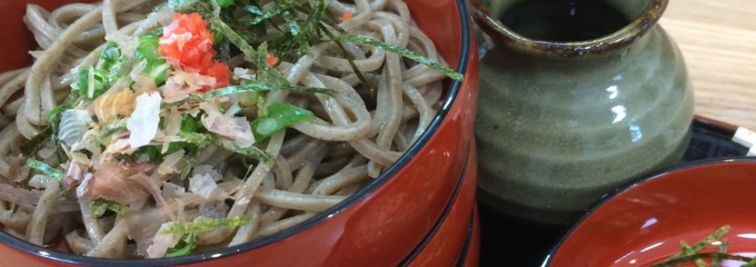 きまち湯治村 農産館  出雲そば