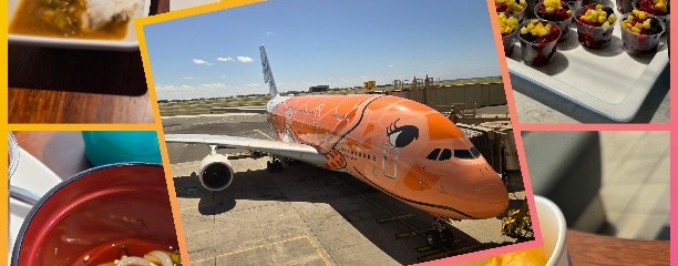 Daniel K. Inouye International Airport (HNL)