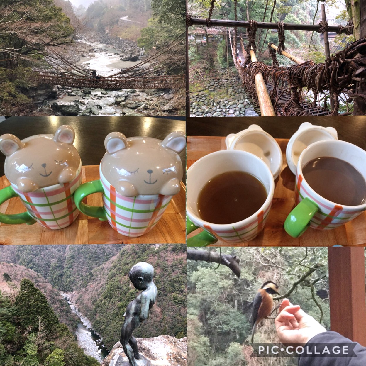 森のくまさん (西祖谷山村善徳/大歩危駅/カフェ)