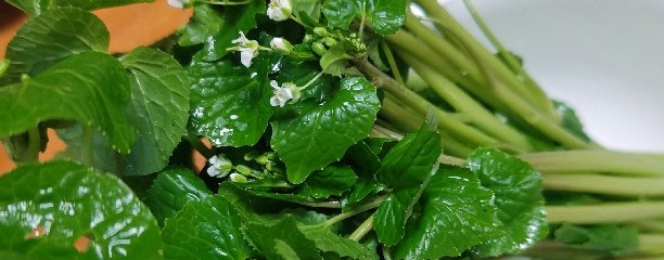 安曇野スイス村 ハイジの里