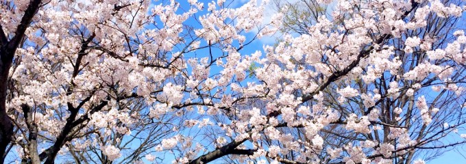 田宮運動公園