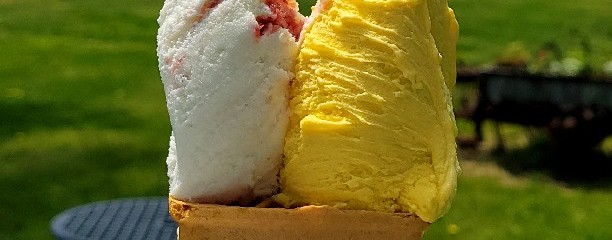 アイスクリーム花茶
