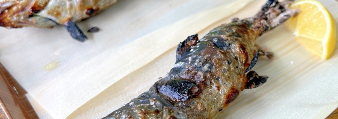 桂茶屋
