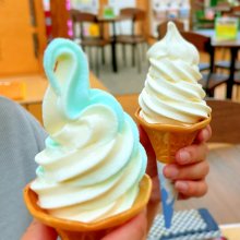 Harugoさんの写真