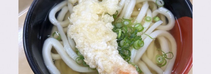 松原うどん