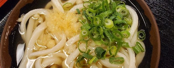手打十段 うどんバカ一代