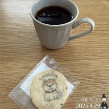 youandme110さんの写真