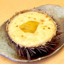 zuruさんの写真