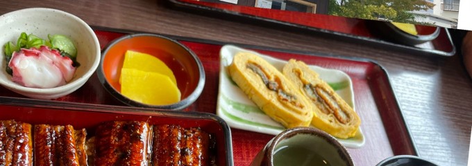うなぎ料理 はまう