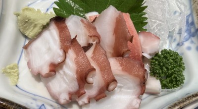 味処 おたん 福井駅 居酒屋