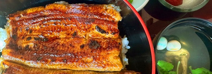 神田きくかわ 御殿場店